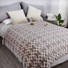 Nordic Bohemian Single Air Conditioning Tassel Sofa Blanket